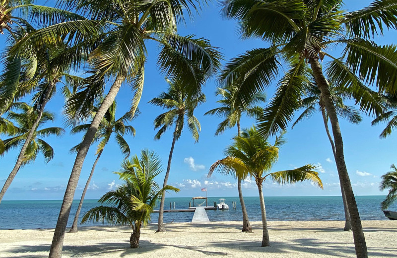 Beach at The Moorings Village.