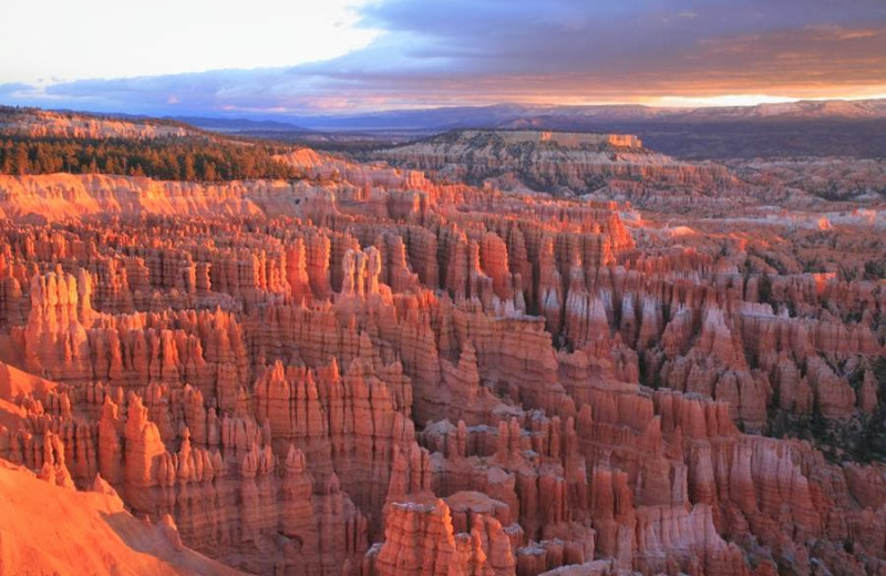 Bryce Canyon National Park near Bryce Canyon Inn.