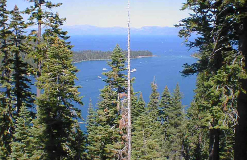 Lake at Cedar Pines Resort.