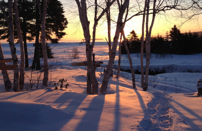 Winter landscape at Cabot Shores Wilderness Resort.