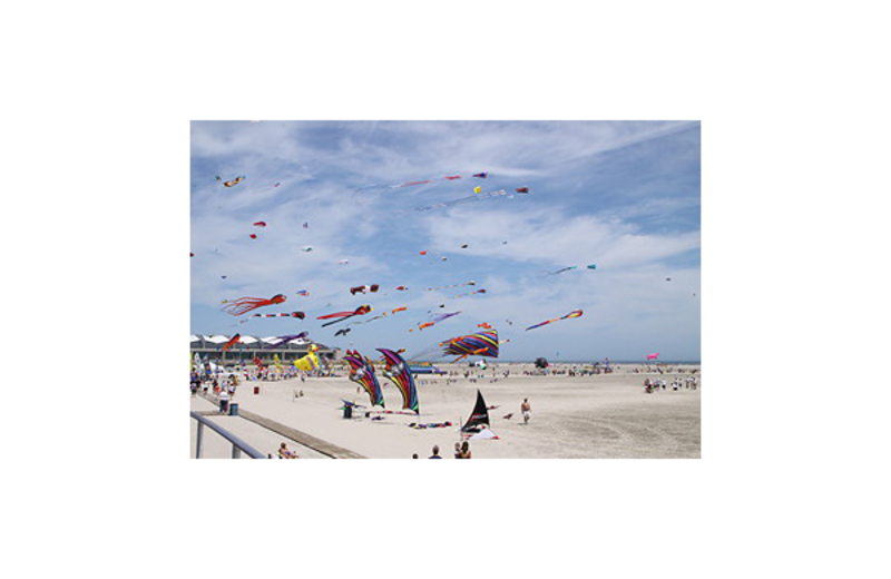Flying kites at Florentine Family Motel.