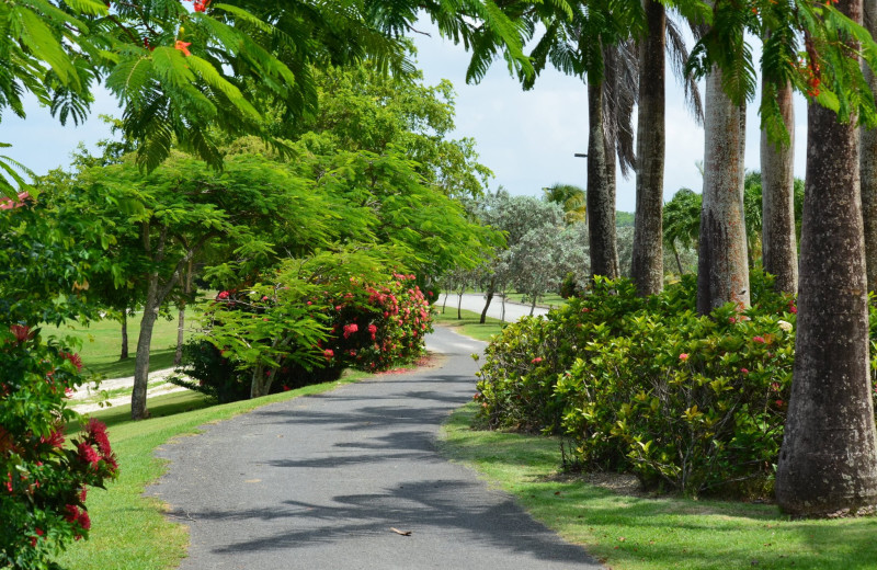 Walking path at Oceano Beach Resort.