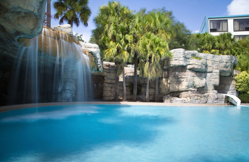 Outdoor pool at Grand Orlando Resort at Celebration.