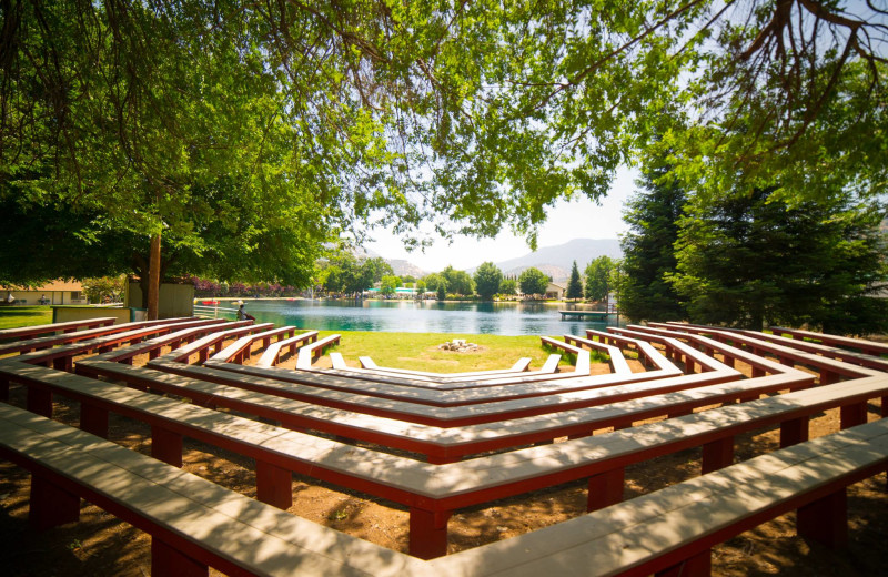 Wedding at Wonder Valley Ranch Resort.