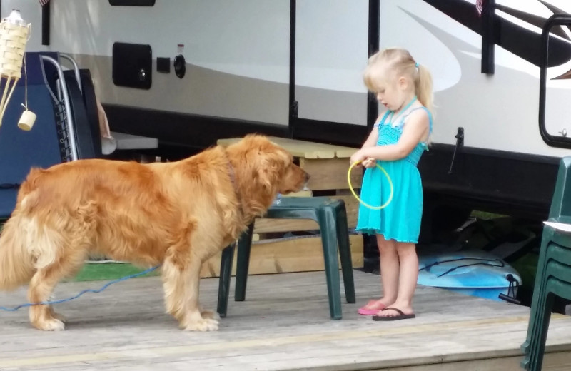 Pets welcome at Pine Beach Resort-Side Lake.