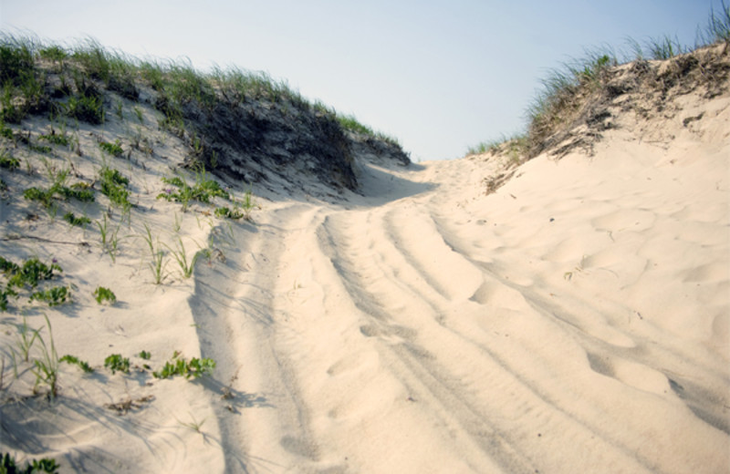 Trail to the Beach at Coral Cay Beachfront Condominiums