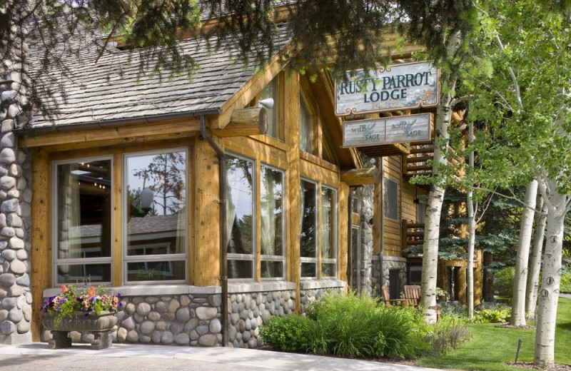 Exterior view of Rusty Parrot Lodge.