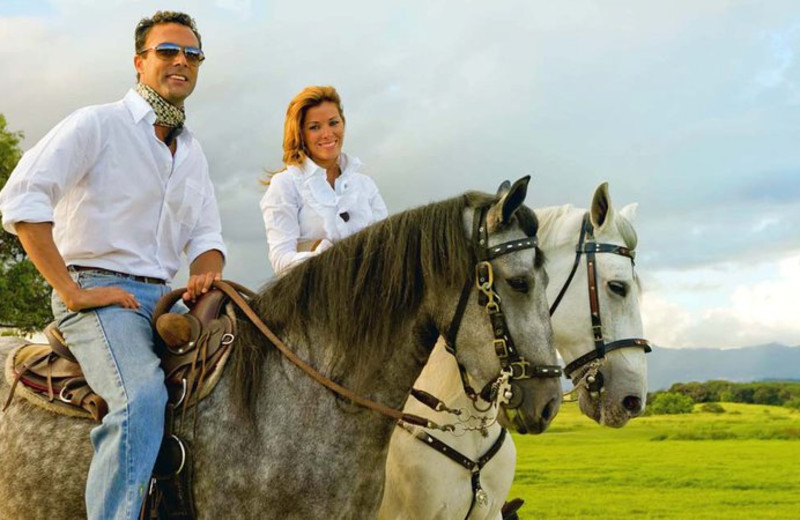 Equestrian Center Near Club Cala de Palmas