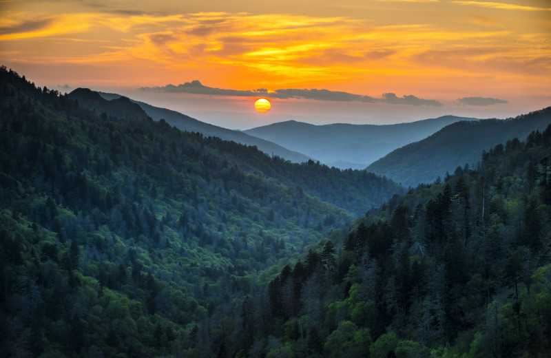 Mountains at Under Canvas Great Smoky Mountains.