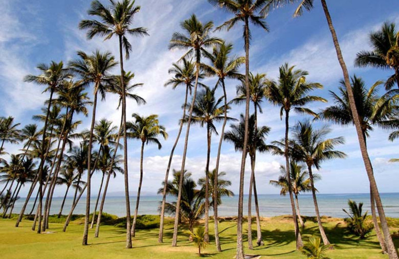 Beautiful views at Hale Kai O Kihei