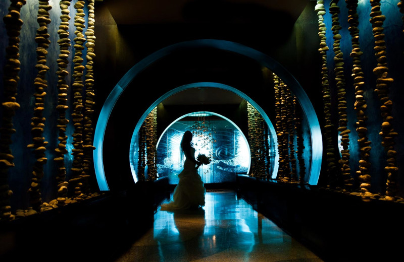 Bride at One Ocean Resort & Spa.