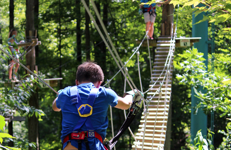 Rope course at Holiday Valley Resort.