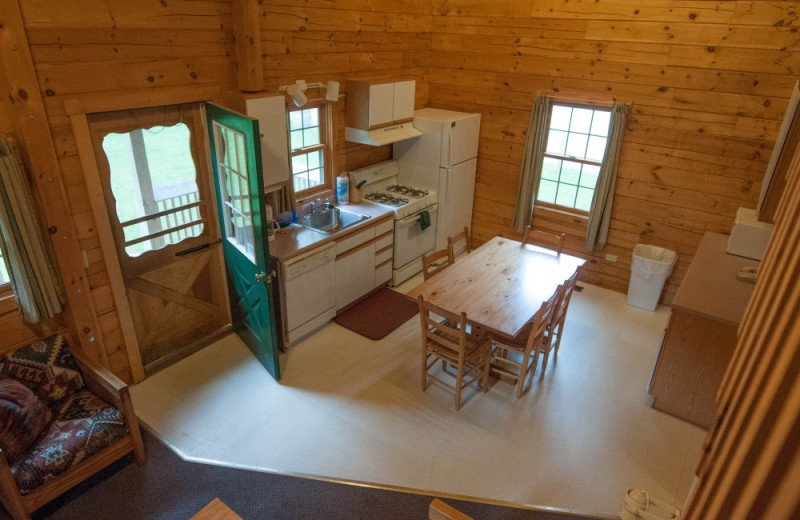 Cabin kitchen at Double JJ Resort.