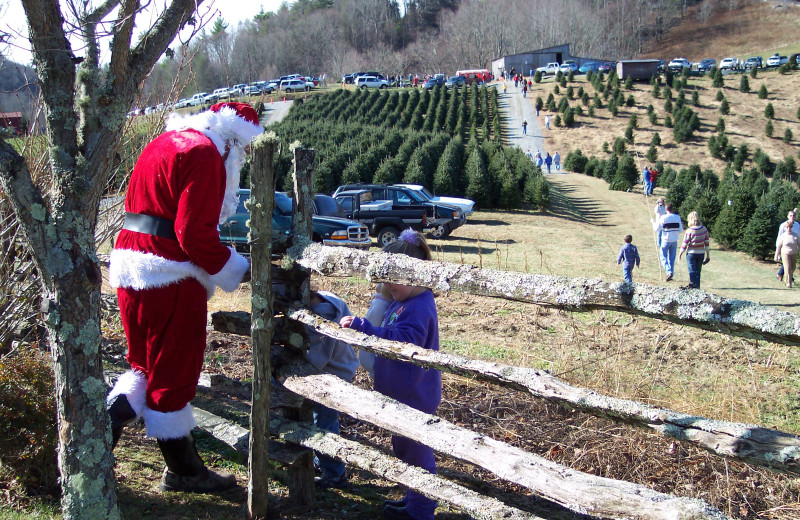 Holidays at Foscoe Rentals.