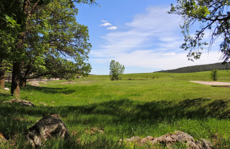 Grounds at Ghost Canyon Ranch.