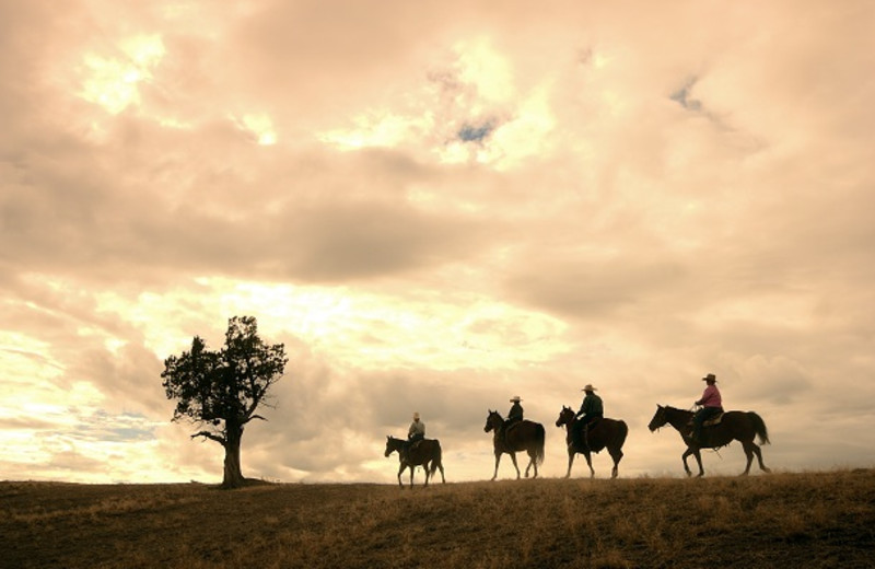 Trail Riding at Brasada Ranch