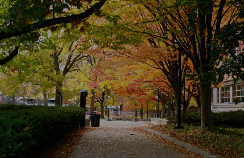 Town near The University Inn Ann Arbor.