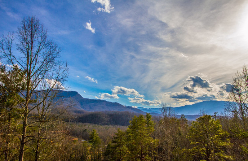 Mountain view at Cobbly Nob Rentals.