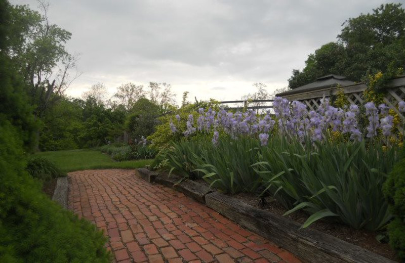 Garden path at Creekside Resort.