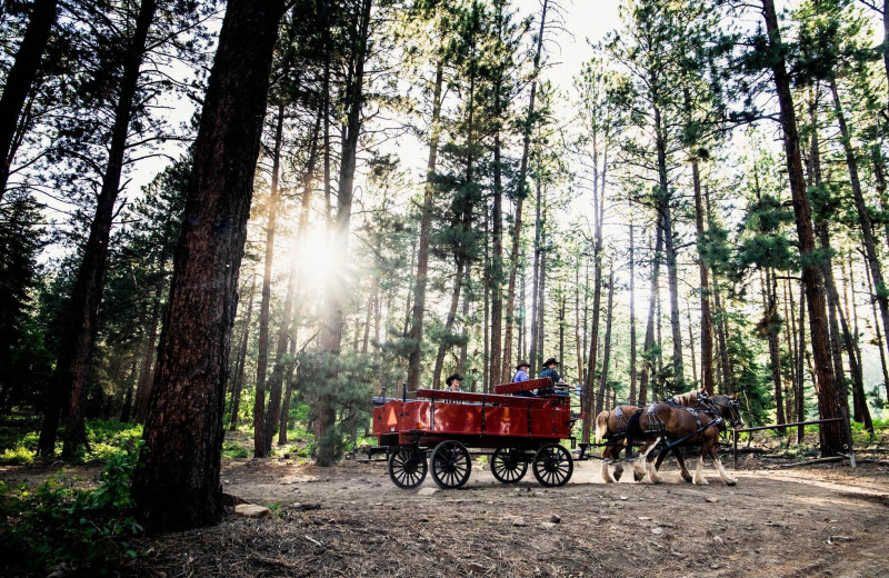 Wagon rides at Colorado Trails Ranch.