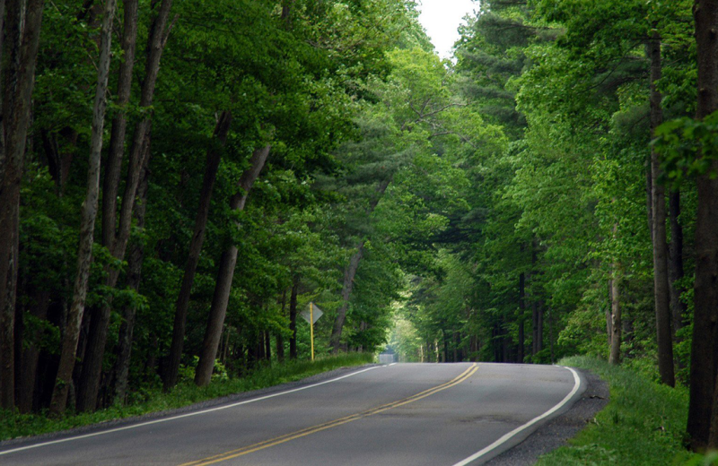 Scenic drive at Kon Tiki Resort.