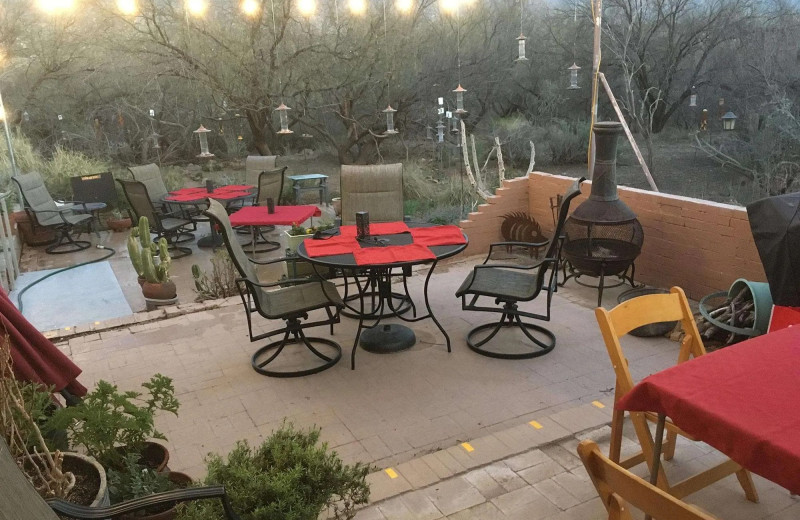 Patio at WOW Arizona! Wild Outdoor World of Arizona.