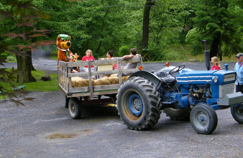 Hayride at Yogi at Shangri-La.
