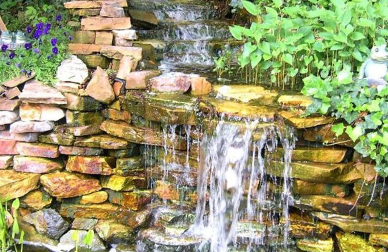 Waterfall garden at Black Forest Bed & Breakfast & Luxury Cabins.