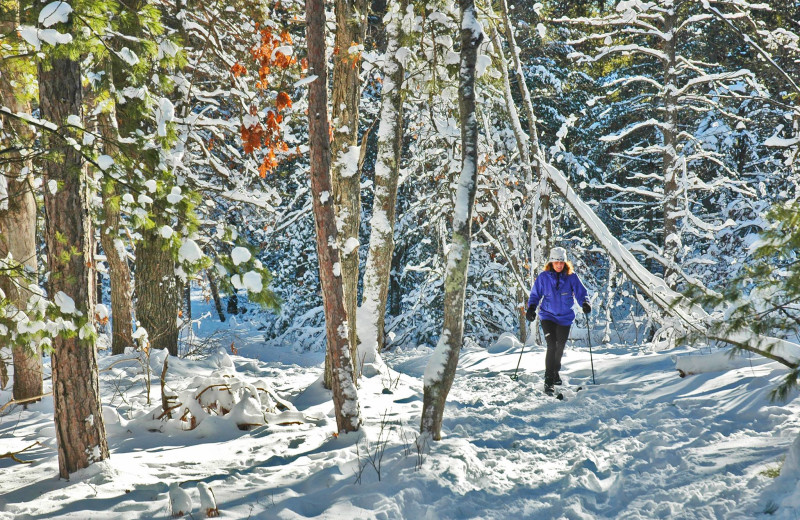 Ski near The Cherry Tree Inn & Suites.