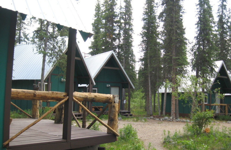 Cabins at Denali Perch Resort.