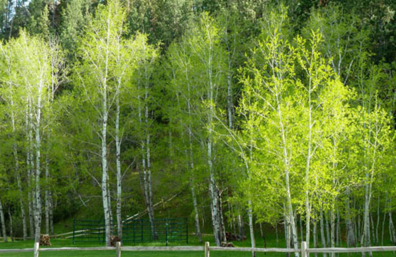 Exterior view of Newton Fork Ranch.