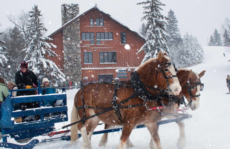 Sleigh ride at White Birch Resort.