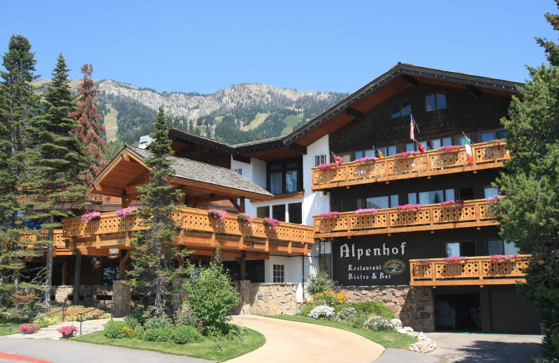 Exterior view of Alpenhof Lodge.