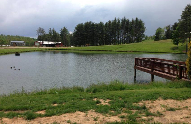 Pond view at Pine Lakes Lodge.