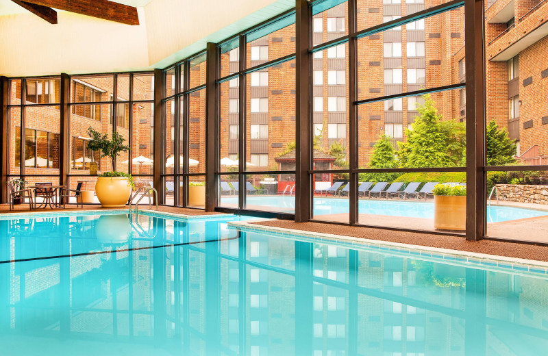 Indoor pool at Sheraton Harrisburg Hershey Hotel.