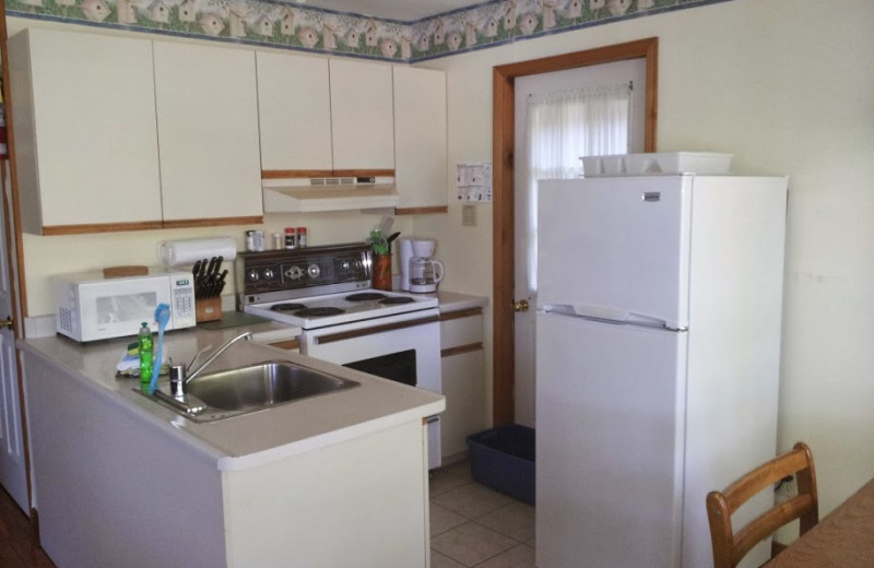 Cottage kitchen at Ogopogo Resort.