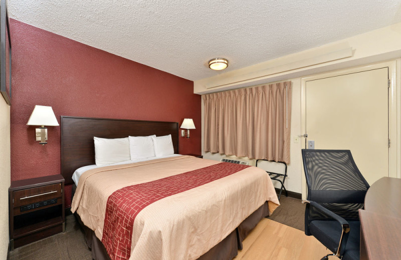 Guest room at Red Roof Inn - Benton Harbor.