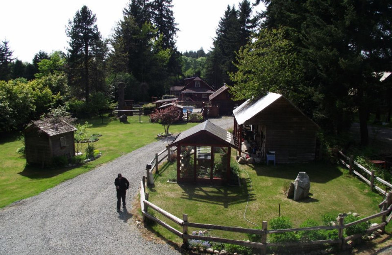 Exterior view of Cat's Pajamas Bed & Breakfast.