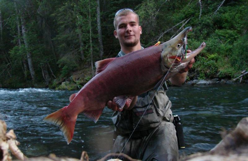 Salmon fishing at Gwin's Lodge & Kenai Peninsula Charter Booking Service.