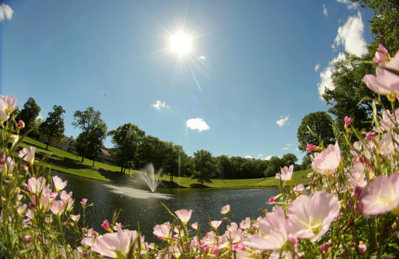 Golf course at Pointe Royale.