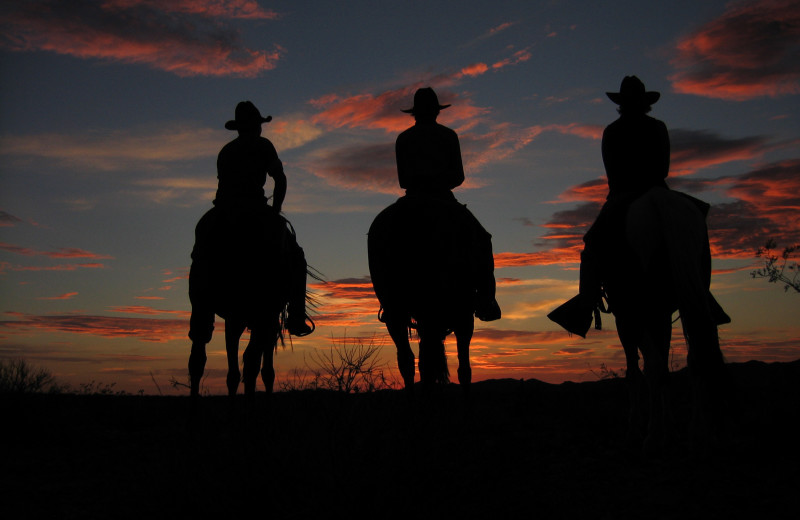 Horseback riding at Stagecoach Trails Guest Ranch.