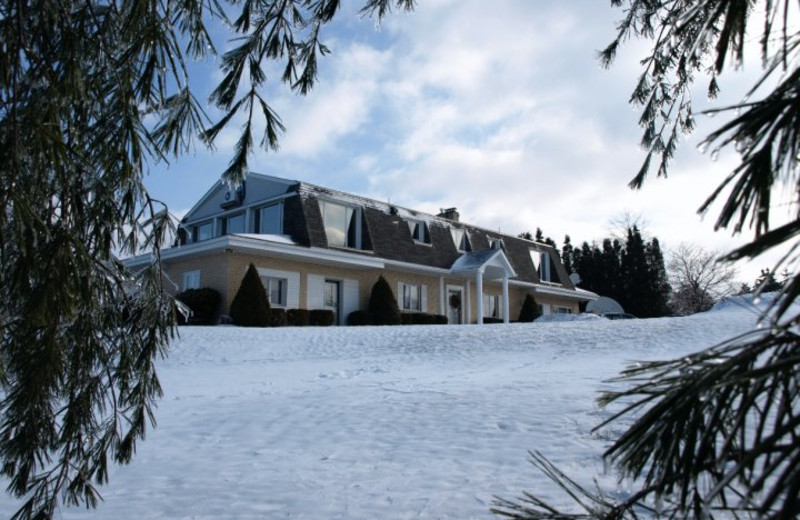 Exterior view of TimberMist Bed & Breakfast.