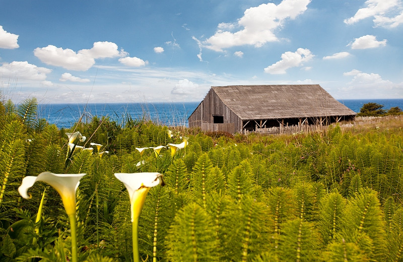 Exterior view of Sea Ranch Lodge.