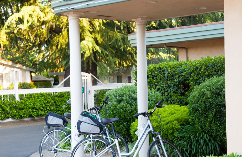 Bikes at El Bonita Motel.