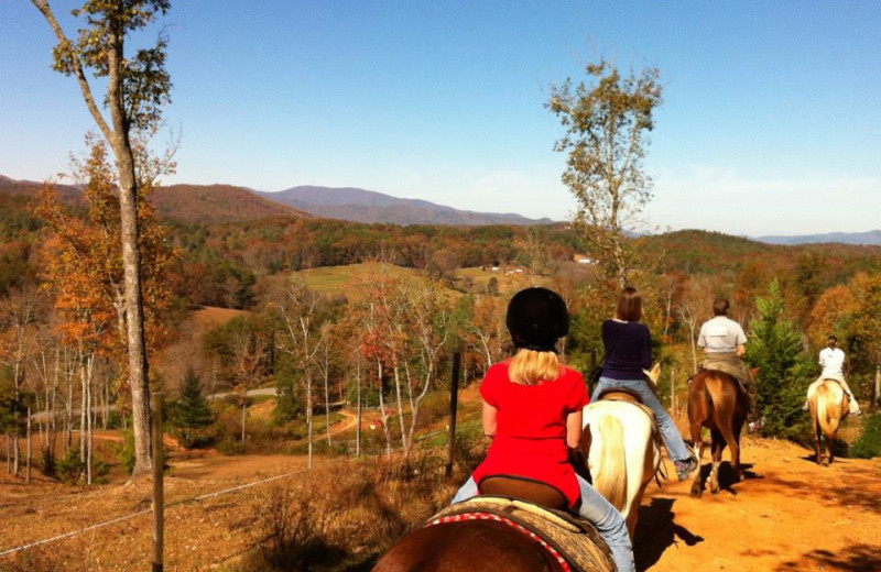 Horseback riding at Cabin Rentals of Georgia.