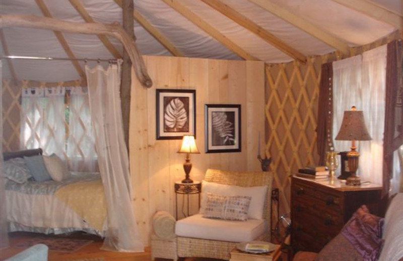 Yurt at The Spotted Sandpiper.