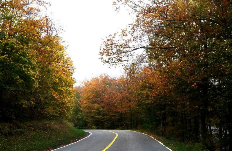 Fall at the Sugar Ski and Country Club.