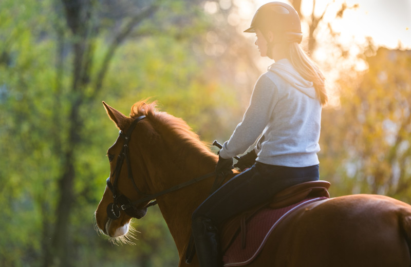 Horseback riding at Driftwood Resort.