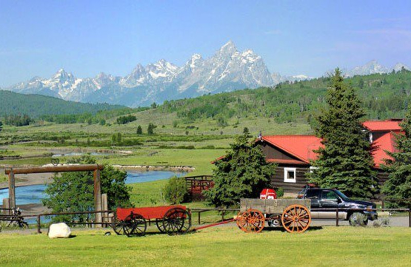 Spring Creek Ranch (Jackson, WY) Resort Reviews
