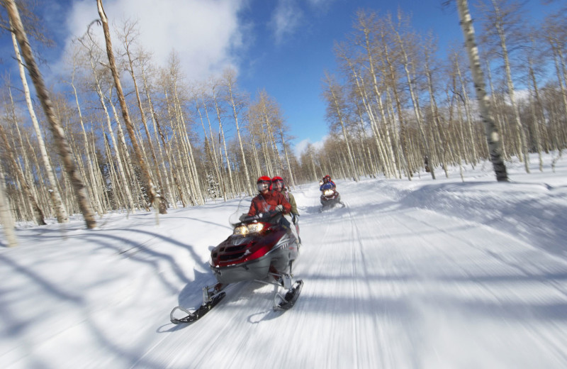 Snowmobiling at Nitschke's Northern Resort.